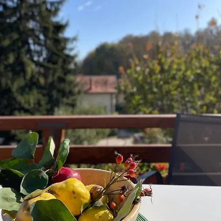 Buzzing Retreat Velika Remeta