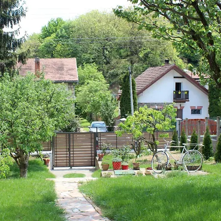 Buzzing Retreat * Velika Remeta