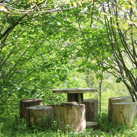 Buzzing Retreat Holiday home