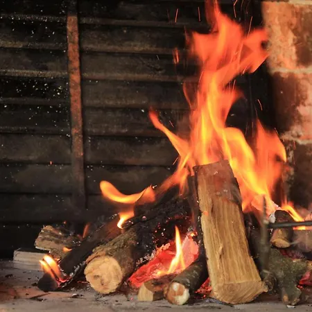 Holiday home Buzzing Retreat