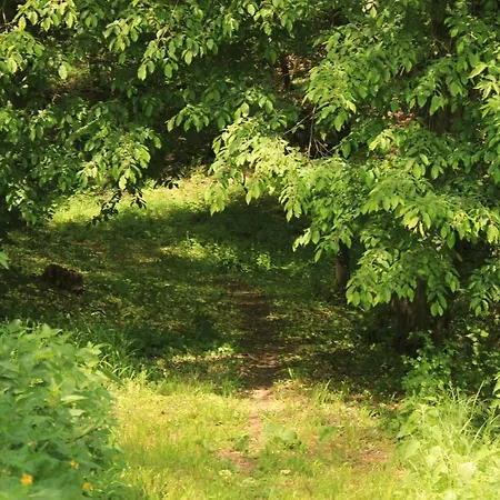 Holiday home Buzzing Retreat