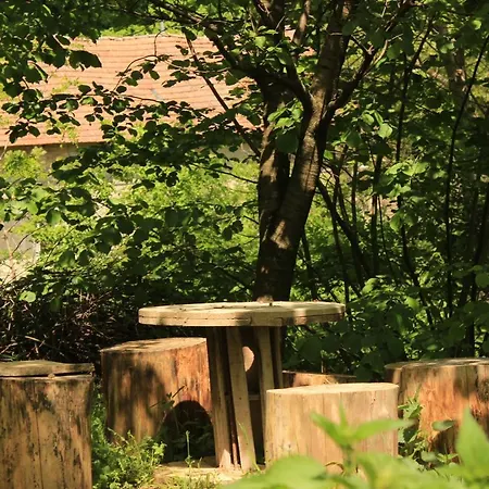 Дом отдыха Buzzing Retreat *