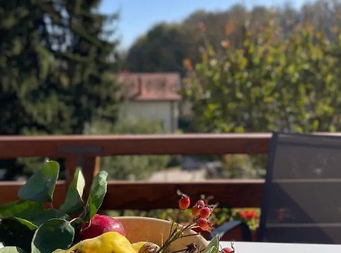 Buzzing Retreat Velika Remeta