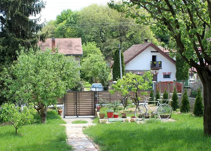 Buzzing Retreat * Velika Remeta