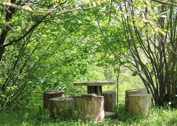 Buzzing Retreat Дом отдыха