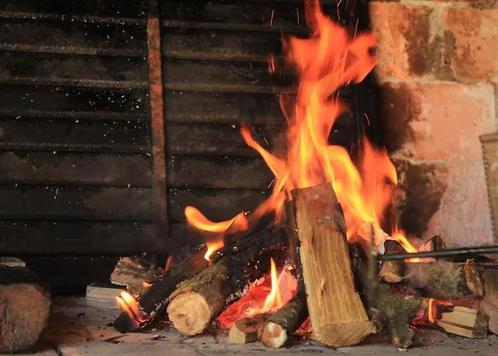 Дом отдыха Buzzing Retreat