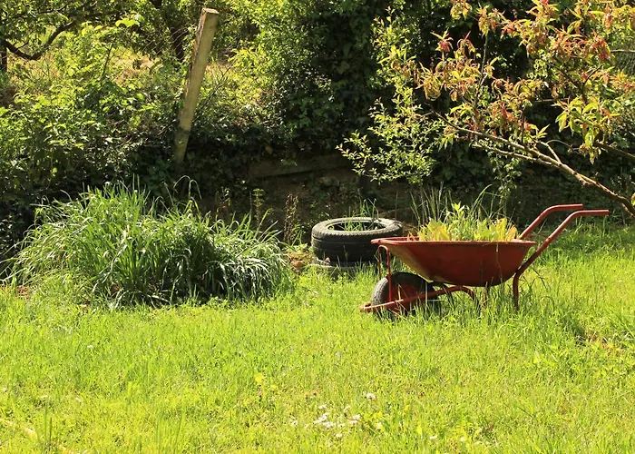 Дом отдыха Buzzing Retreat