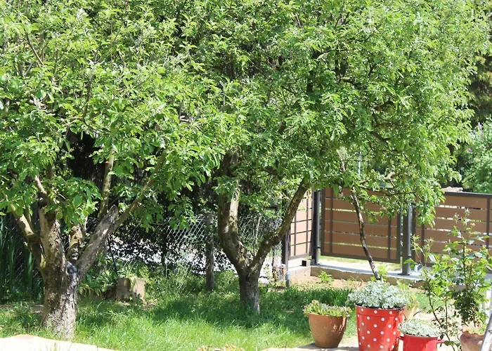 Buzzing Retreat Дом отдыха